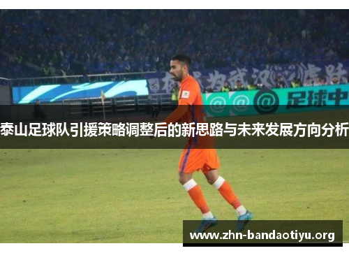 泰山足球队引援策略调整后的新思路与未来发展方向分析