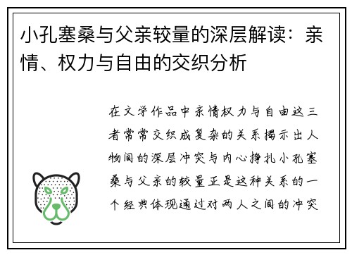 小孔塞桑与父亲较量的深层解读：亲情、权力与自由的交织分析