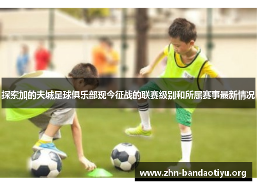 探索加的夫城足球俱乐部现今征战的联赛级别和所属赛事最新情况