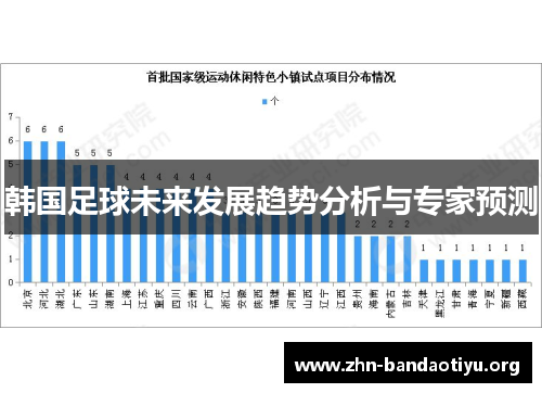 韩国足球未来发展趋势分析与专家预测