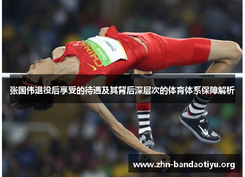 张国伟退役后享受的待遇及其背后深层次的体育体系保障解析